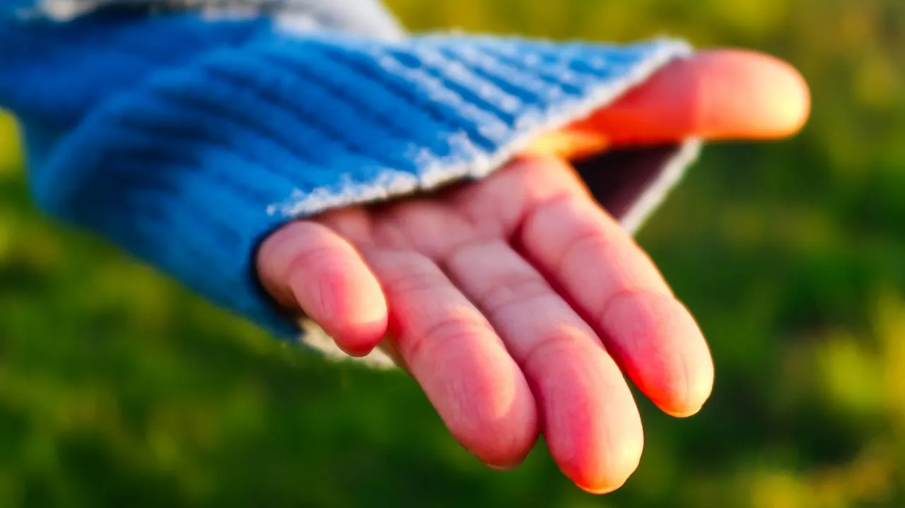 Déroulement d'un Scan Énergétique